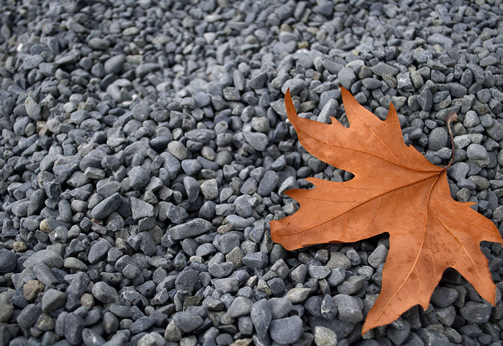 Pebbles Dark - Image 3